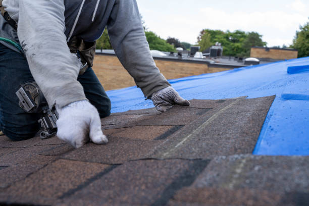 Best Roof Waterproofing Services  in Merrillville, IN