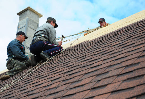 Best Roof Gutter Cleaning  in Merrillville, IN